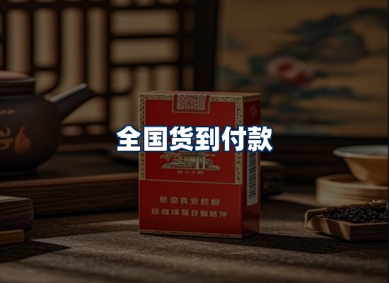 专业团队办公环境